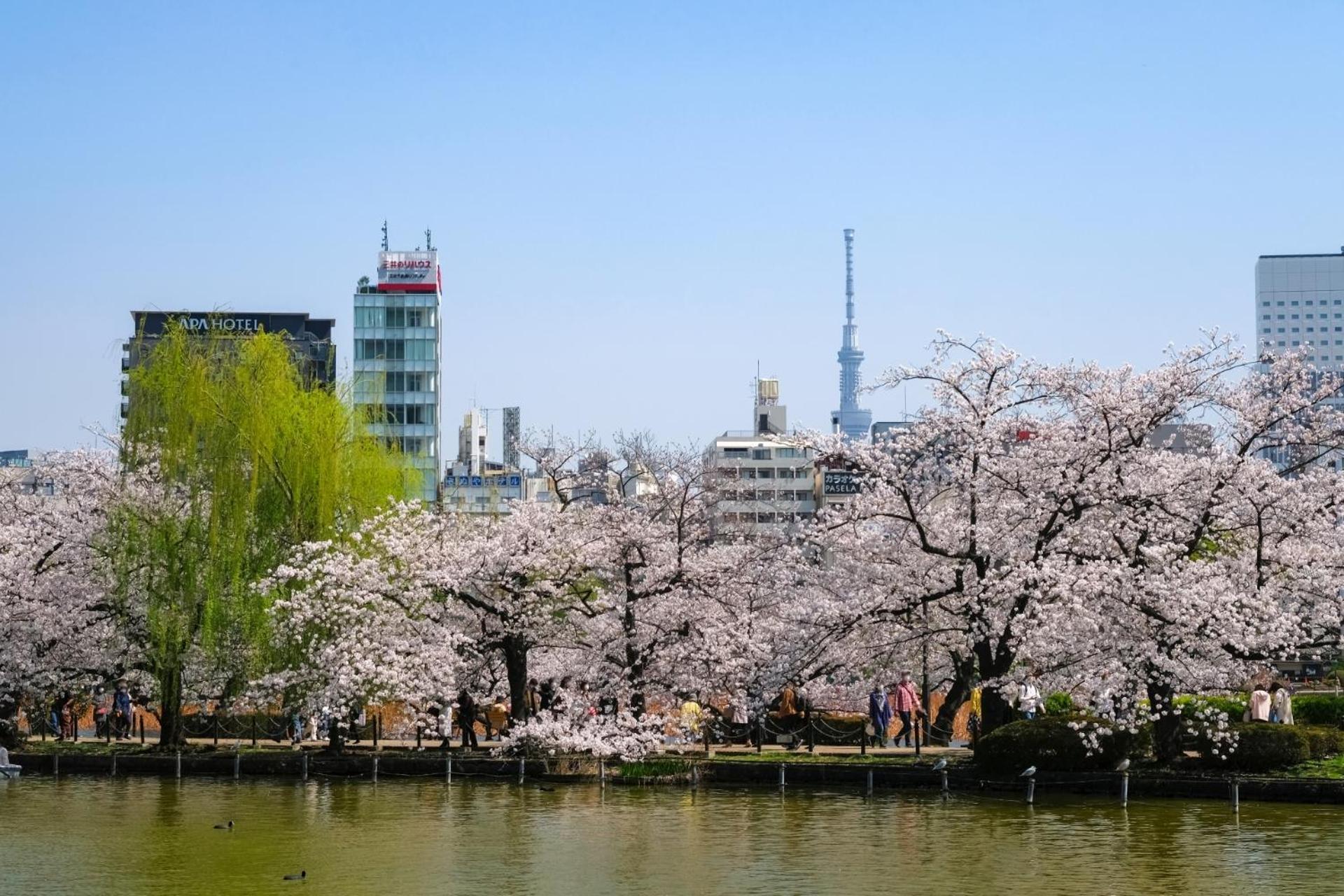 Stayme The Hotel Ueno Tokyo Luaran gambar